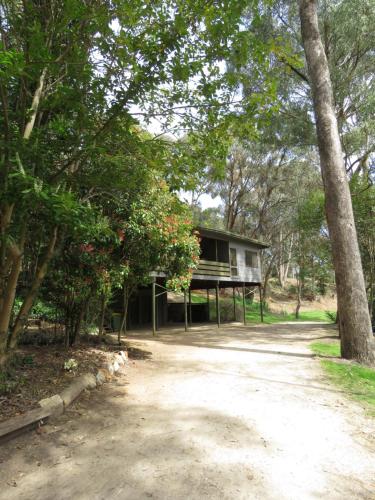 Κήπος έξω από το Beechworth Holiday Park