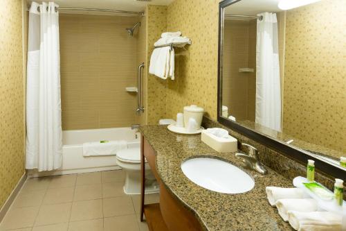 a bathroom with a sink and a toilet at Holiday Inn Express Hotel & Suites Jacksonville Airport, an IHG Hotel in Jacksonville
