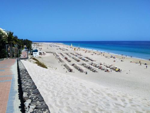 Apartments Palm Garden in front of the beach