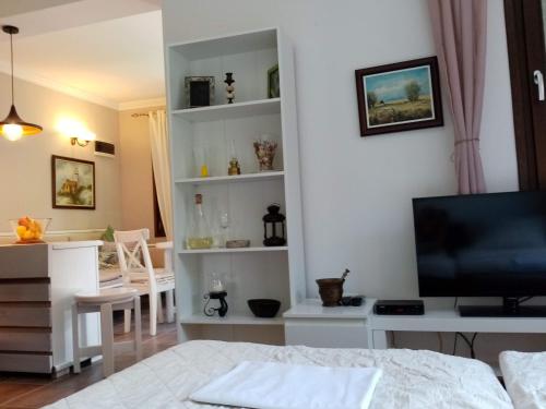 um quarto com uma cama, uma secretária e uma televisão em NIKOLIJA 1 em Bajina Bašta