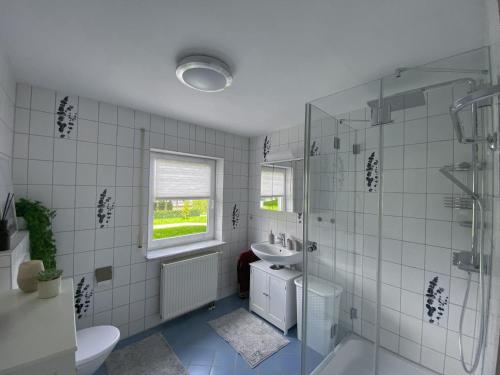 a bathroom with a shower and a sink and a toilet at Schöne Wohnung mit Terrasse & Blick ins Grüne in Dormettingen