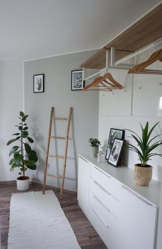 a white kitchen with potted plants and a ladder at Schöne Wohnung mit Terrasse & Blick ins Grüne in Dormettingen