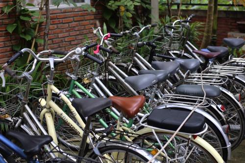 a row of bikes parked next to each other at Bầu Bí Mini Farmstay Mekong - Tiền Giang in My Tho
