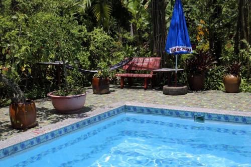 a swimming pool with a chair and a blue umbrella at Bầu Bí Mini Farmstay Mekong - Tiền Giang in My Tho