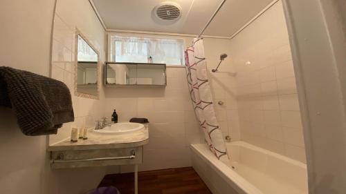 La petite salle de bains est pourvue d'un lavabo et d'une douche. dans l'établissement Frangipani Cottage, à Jurien Bay