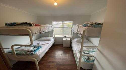 Cette chambre comprend 2 lits superposés et une fenêtre. dans l'établissement Frangipani Cottage, à Jurien Bay