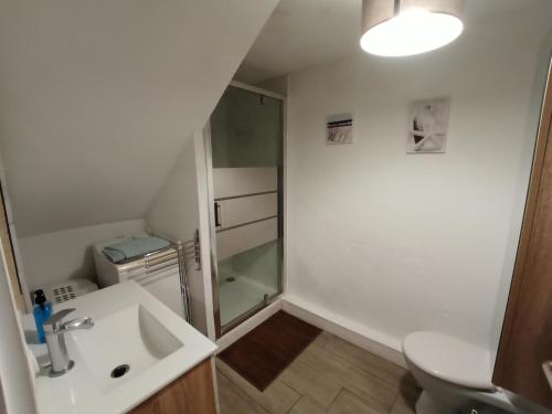La petite salle de bains est pourvue d'un lavabo et d'une douche. dans l'établissement Appartements dans résidence Avec piscine - Mer à 500m, à Sainte-Marie-la-Mer