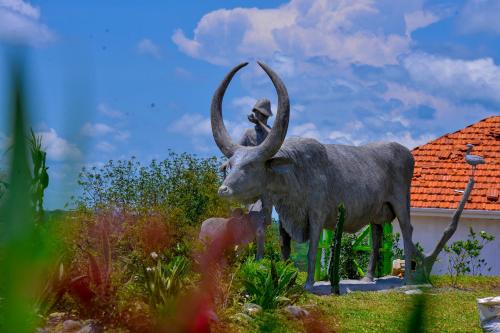 Kashari Farm Resort – Photos 2