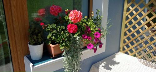 a vase of flowers sitting on a window sill at Landhaus Gerstgraser in Rauris