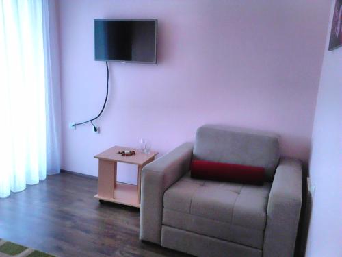 a living room with a chair and a table at B&B Zmajevo Gnezdo 021 in Sremska Kamenica