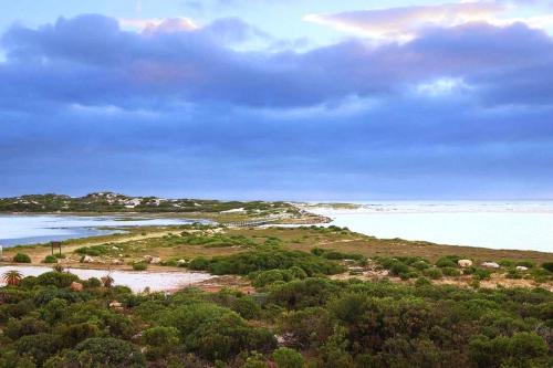 a view of a beach with trees and water at Aurora's Rest 47 in Fisherhaven