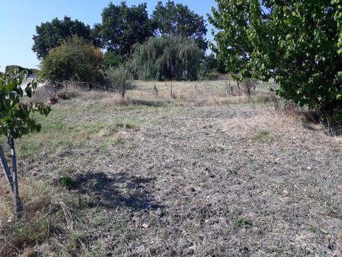 a field of grass with trees in the background at Il Fortilizio in Pietrelcina