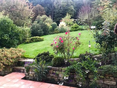 um jardim com um relvado com flores cor-de-rosa em Ein Zuhause mit schönem Garten em Bona