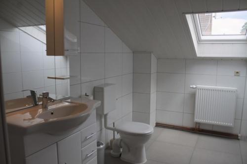 uma casa de banho com um lavatório, um WC e uma janela. em Spreewälder Schwalbenhof - Ferienwohnung "Nistkasten" em Golßen