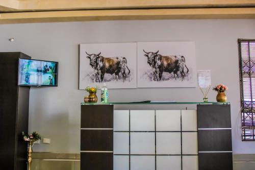una cocina con dos fotos de vacas en la pared en Luqa BnB, en Empangeni