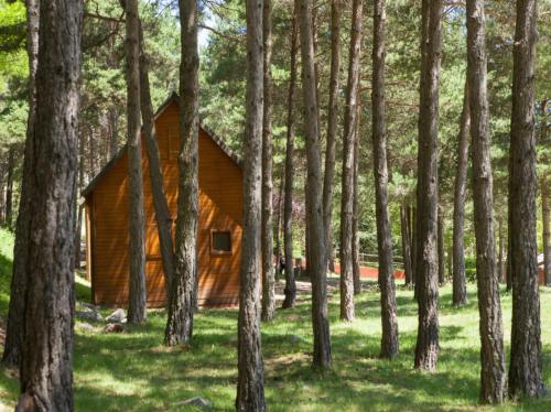Camping Fontfreda, Castellar del Riu – Güncel 2022 Fiyatları