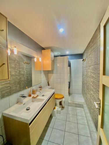 La salle de bains est pourvue de 2 lavabos, de toilettes et d'une douche. dans l'établissement Agréable maison de ville dans petit village auvergnat, à Corent