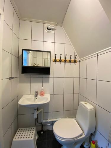 y baño con aseo y lavamanos. en Welcome to two rooms apartment in central Tibro en Tibro