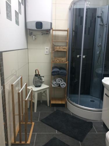 Fotografia z galérie ubytovania Magnolia Apartman v destinácii Sopron