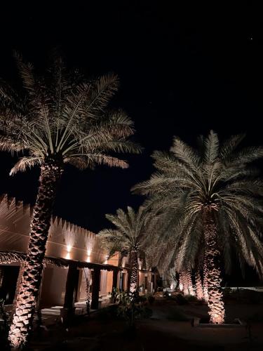 Fotografie z fotogalerie ubytování Al Artaa Resort v destinaci Liwa