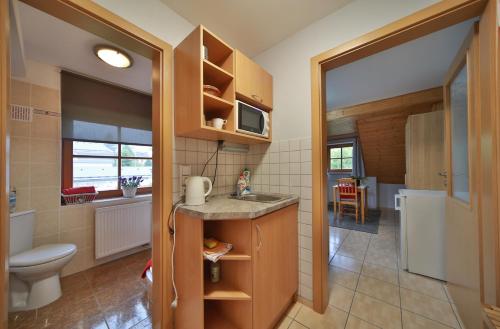 a small bathroom with a sink and a toilet at Apartmány U šneka in Železná Ruda