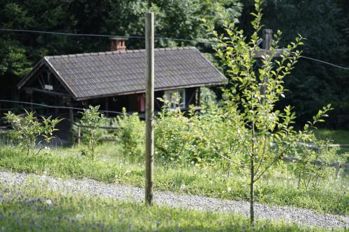 Haus Ingrüne – Photos 5