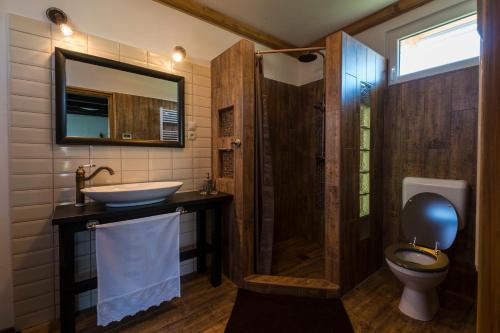 a bathroom with a shower and a toilet and a sink at Döre Vendégház in Bakonyszentlászló