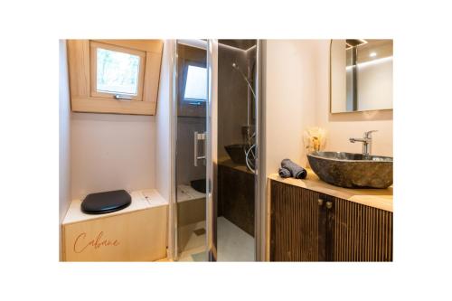 ein Bad mit einem Waschbecken und einem WC. in der Unterkunft Refuge Out of the City in Arudy