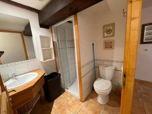 ein Bad mit einem WC und einem Waschbecken in der Unterkunft LE BLIZZARD Bel appartement avec grande terrasse dans vieille ferme de montagne rénovée in Les Orres