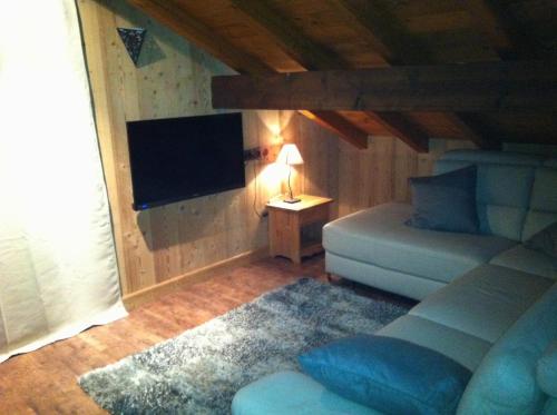 TV a/nebo společenská místnost v ubytování Chalet Narcisse