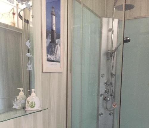 a bathroom with a shower with a glass shower stall at LA MAISON DES HIPPOCAMPES in La Teste-de-Buch