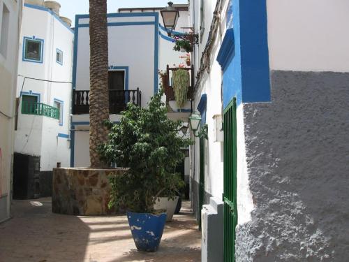 un vicolo blu e bianco con un albero in una pentola di Casa Danesa - cityhouse at the palm tree, Puerto de Mogan a Puerto de Mogán