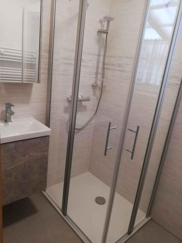 a shower with a glass door next to a sink at Apartment in Ilmenau 42915 in Ilmenau
