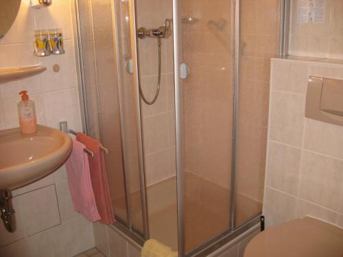 La salle de bains est pourvue d'une douche et d'un lavabo. dans l'établissement Alpenhotel Allgäu, à Hohenschwangau