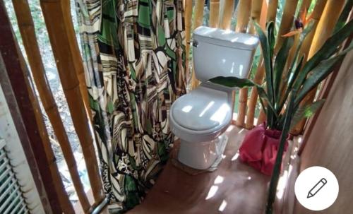 a bathroom with a white toilet and a plant at treehouse above the beach in Port Antonio