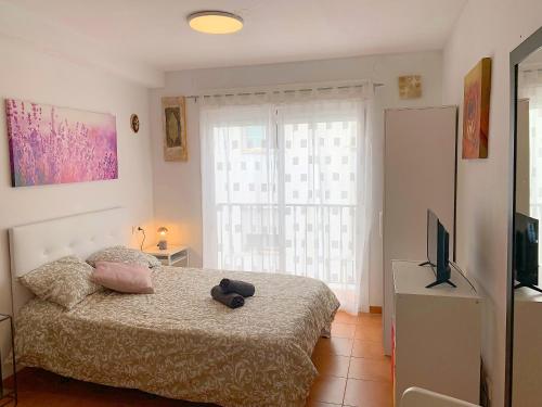 Studio Nerja Center H Terrace