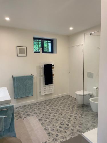 a bathroom with a toilet and a glass shower at La Rigottiere in Huismes