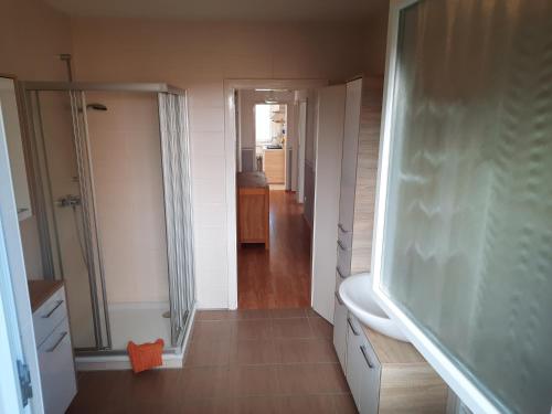 a bathroom with a shower and a sink and a mirror at FeWo mit Terrasse für 4-5 Personen mit Schwimmbad + Sauna in Bad Grund