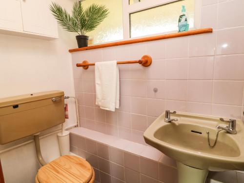 ein Badezimmer mit Waschbecken und Toilette in der Unterkunft Patch's Place in Gunnislake