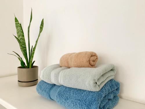 a pile of towels sitting on a counter next to a plant at Maywa City Center in Quito