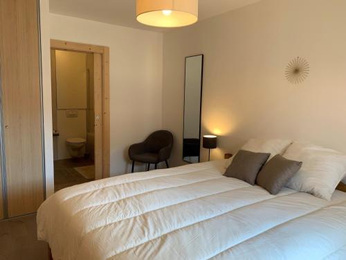 Superbe 2 pièces à Châtel avec garage privatif