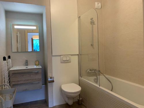 ein Badezimmer mit Toilette, Waschbecken und Dusche in der Unterkunft Magnifique 2 pièces équipé avec garage privé à Châtel - FR-1-198-239 in Châtel