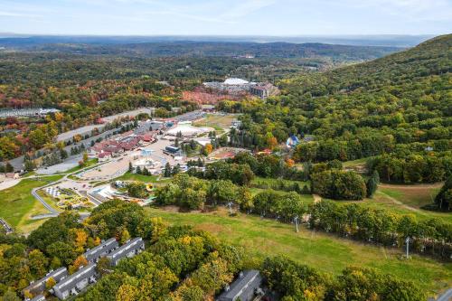an aerial view of a park in the fall at Camelback 69 in Tannersville