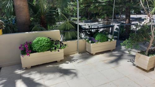 Un balcón o terraza de Monte Vardia