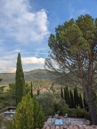 Elle offre une vue sur un jardin avec un arbre et des buissons. dans l'établissement Les Colombes, à Aubres