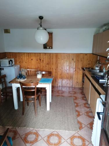 Η κουζίνα ή μικρή κουζίνα στο Kuća za odmor Anka