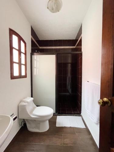a bathroom with a toilet and a sink and a shower at Santa Helena Plaza in Oaxaca City