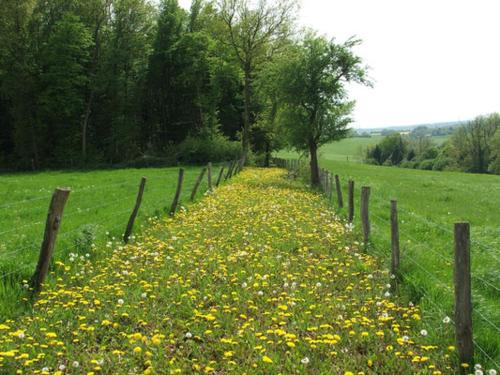 Gallery image of Grange Rousselin in Bachivillers