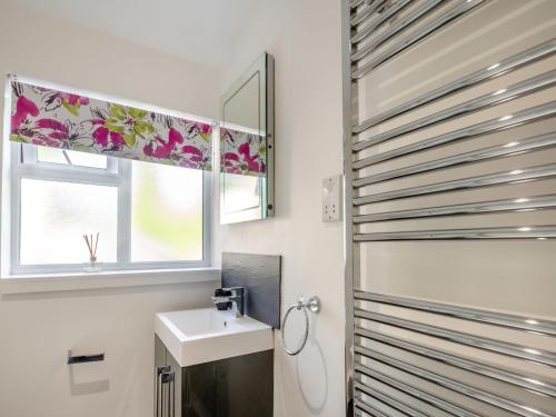 a bathroom with a sink and a window at Bro Dawel in Dolgellau