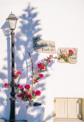 a street light and flowers in a vase next to a street sign at Giannakas Studios in Platis Yialos Sifnos